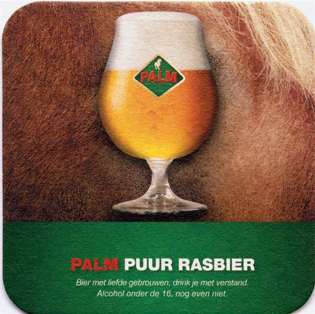 londerzeel vb-b palm palm puur 2a (quad185-o m bierglas)